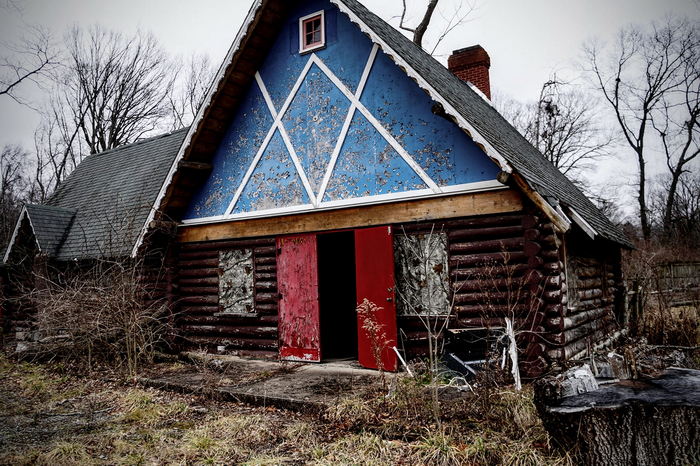 Deer Forest - January 2024 Photo From Dan Keeley (newer photo)